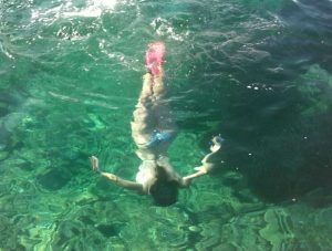 El Secreto del Reflejo Mamífero